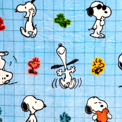 Blankeazzz Peanuts Snoopy & Woodstock Plüsch 2 in 1 Reisekissen & Decke | Offiziell Lizenziert